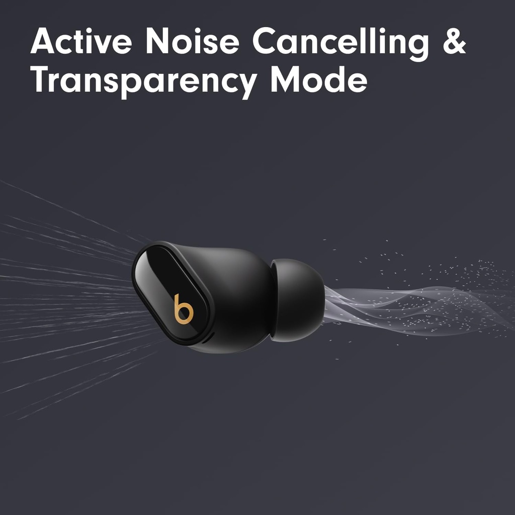 Beats Studio Buds + True wireless NC Black/Gold